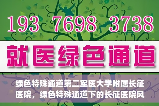 绿色特殊通道第二军医大学附属长征医院，绿色特殊通道下的长征医院风采——第二军医大学附属长征医院探索与实践