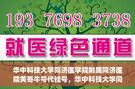 华中科技大学同济医学院附属同济医院黄哥牛号代挂号，华中科技大学同济医院黄哥牛号代挂号背后的故事