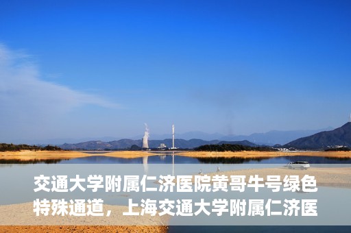 交通大学附属仁济医院黄哥牛号绿色特殊通道，上海交通大学附属仁济医院黄哥牛号绿色就医特殊通道解析