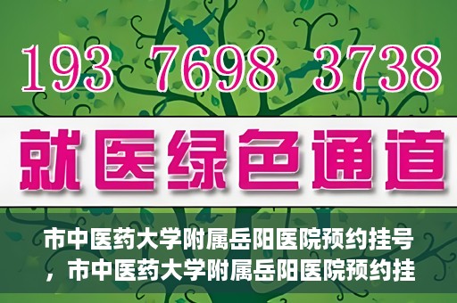 市中医药大学附属岳阳医院预约挂号，市中医药大学附属岳阳医院预约挂号攻略，便捷就医从这里开始