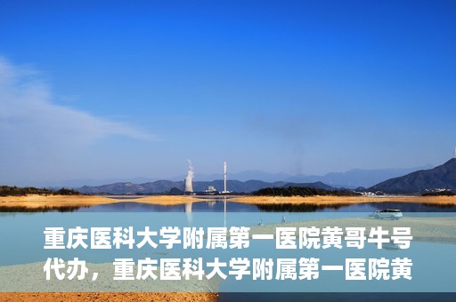 重庆医科大学附属第一医院黄哥牛号代办，重庆医科大学附属第一医院黄哥牛号代办服务详解