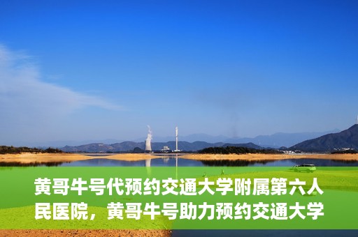 黄哥牛号代预约交通大学附属第六人民医院，黄哥牛号助力预约交通大学附属第六人民医院服务