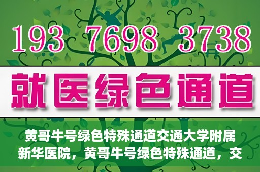 黄哥牛号绿色特殊通道交通大学附属新华医院，黄哥牛号绿色特殊通道，交通大学附属新华医院的探索与实践