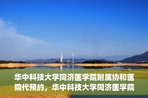 华中科技大学同济医学院附属协和医院代预约，华中科技大学同济医学院附属协和医院便捷代预约服务解析