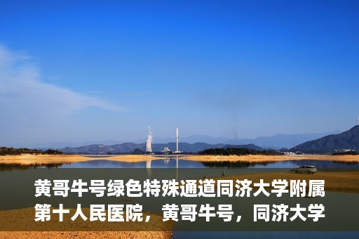 黄哥牛号绿色特殊通道同济大学附属第十人民医院，黄哥牛号，同济大学附属第十人民医院开启绿色特殊通道，助力健康前行