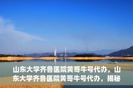 山东大学齐鲁医院黄哥牛号代办，山东大学齐鲁医院黄哥牛号代办，揭秘背后的故事与真相