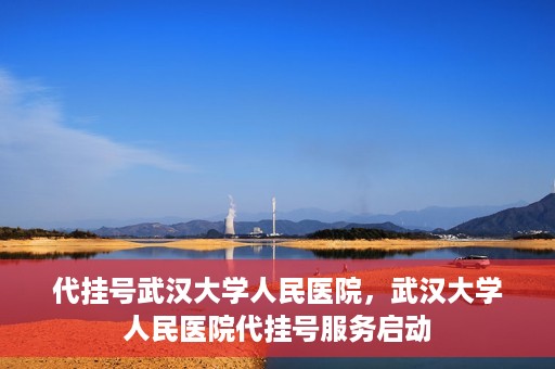 代挂号武汉大学人民医院，武汉大学人民医院代挂号服务启动