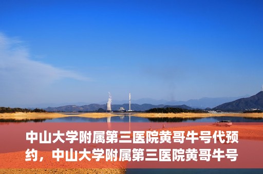 中山大学附属第三医院黄哥牛号代预约，中山大学附属第三医院黄哥牛号预约攻略，轻松解决挂号难题