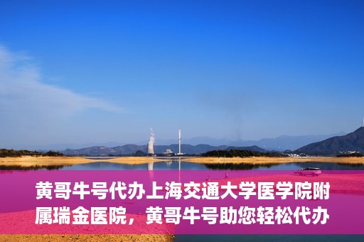 黄哥牛号代办上海交通大学医学院附属瑞金医院，黄哥牛号助您轻松代办上海交通大学医学院附属瑞金医院事务