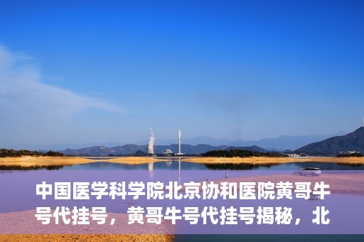 中国医学科学院北京协和医院黄哥牛号代挂号，黄哥牛号代挂号揭秘，北京协和医院挂号背后的故事