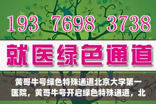 黄哥牛号绿色特殊通道北京大学第一医院，黄哥牛号开启绿色特殊通道，北京大学第一医院全力护航健康之路