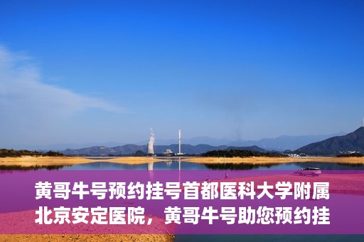 黄哥牛号预约挂号首都医科大学附属北京安定医院，黄哥牛号助您预约挂号北京安定医院专家号