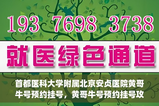 首都医科大学附属北京安贞医院黄哥牛号预约挂号，黄哥牛号预约挂号攻略，首都医科大学附属北京安贞医院就医指南