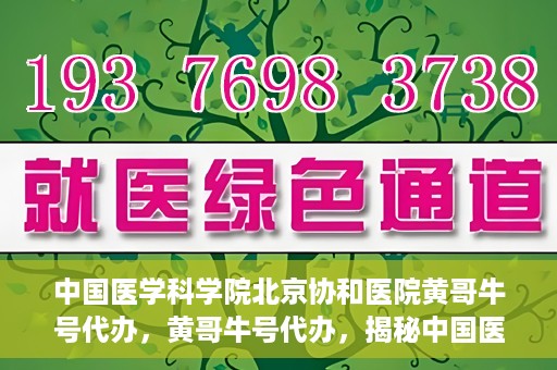 中国医学科学院北京协和医院黄哥牛号代办，黄哥牛号代办，揭秘中国医学科学院北京协和医院背后的故事