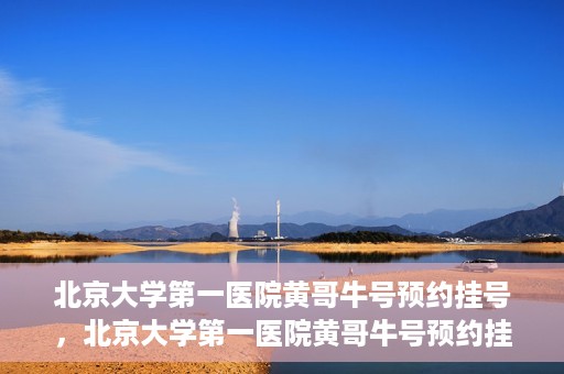北京大学第一医院黄哥牛号预约挂号，北京大学第一医院黄哥牛号预约挂号攻略，轻松挂号，无忧就医体验