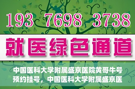 中国医科大学附属盛京医院黄哥牛号预约挂号，中国医科大学附属盛京医院黄哥牛号，预约挂号指南