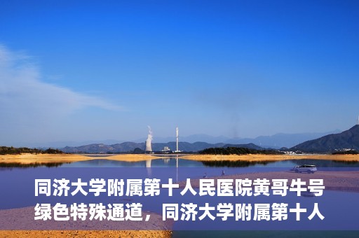 同济大学附属第十人民医院黄哥牛号绿色特殊通道，同济大学附属第十人民医院黄哥牛号，绿色特殊通道开启健康之门
