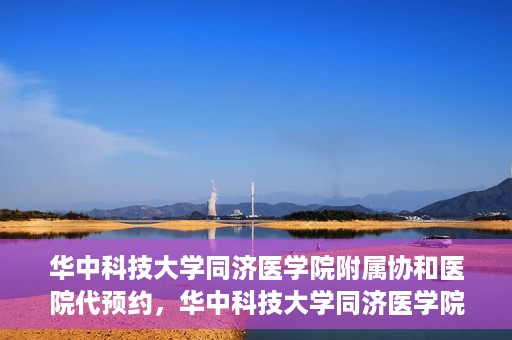 华中科技大学同济医学院附属协和医院代预约，华中科技大学同济医学院附属协和医院便捷代预约服务解析