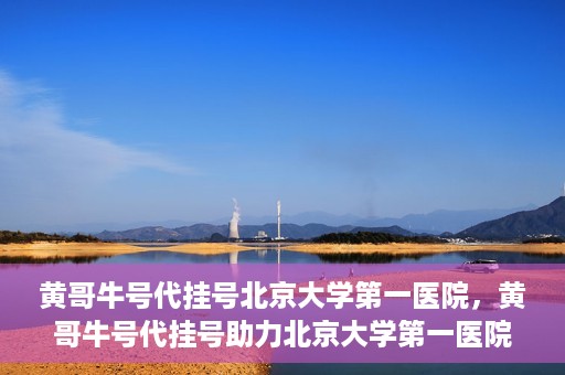 黄哥牛号代挂号北京大学第一医院，黄哥牛号代挂号助力北京大学第一医院就医便捷化