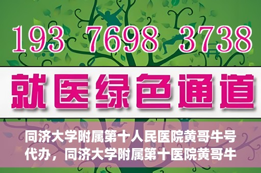 同济大学附属第十人民医院黄哥牛号代办，同济大学附属第十医院黄哥牛号预约代办服务解析