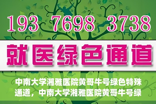中南大学湘雅医院黄哥牛号绿色特殊通道，中南大学湘雅医院黄哥牛号绿色特殊通道，医疗服务的创新实践与人文关怀的体现