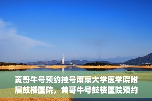 黄哥牛号预约挂号南京大学医学院附属鼓楼医院，黄哥牛号鼓楼医院预约挂号启动，便捷就医新体验