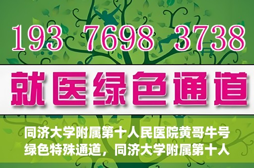 同济大学附属第十人民医院黄哥牛号绿色特殊通道，同济大学附属第十人民医院黄哥牛号，绿色特殊通道开启健康之门