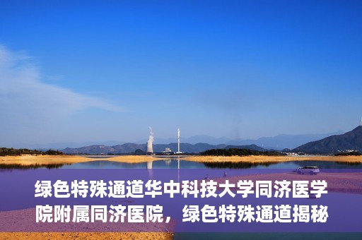 绿色特殊通道华中科技大学同济医学院附属同济医院，绿色特殊通道揭秘，华中科技大学同济医学院附属同济医院的探索之路