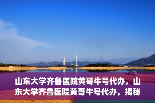 山东大学齐鲁医院黄哥牛号代办，山东大学齐鲁医院黄哥牛号代办，揭秘背后的故事与真相