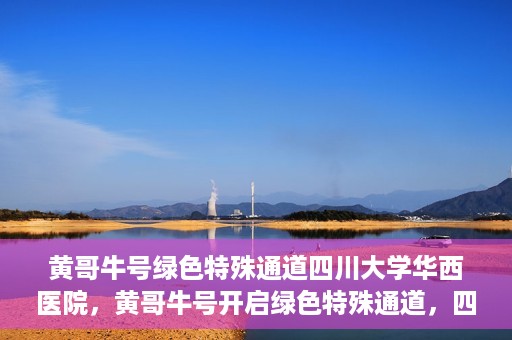 黄哥牛号绿色特殊通道四川大学华西医院，黄哥牛号开启绿色特殊通道，四川大学华西医院倾力支援
