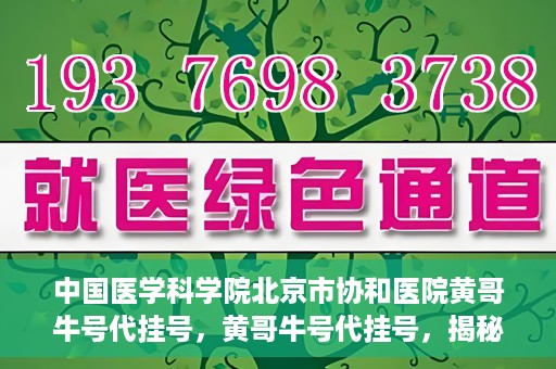 中国医学科学院北京市协和医院黄哥牛号代挂号，黄哥牛号代挂号，揭秘中国医学科学院北京市协和医院挂号背后的故事