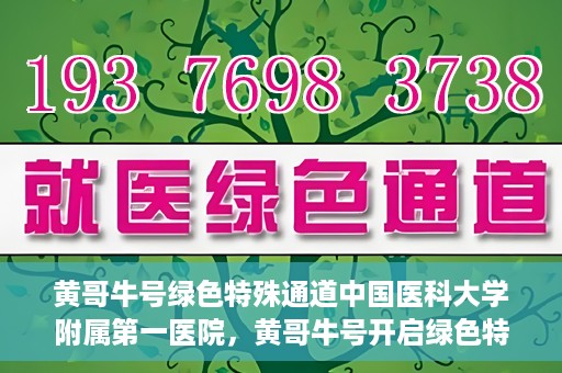 黄哥牛号绿色特殊通道中国医科大学附属第一医院，黄哥牛号开启绿色特殊通道，中国医科大学附属第一医院助力健康中国行动