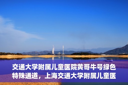交通大学附属儿童医院黄哥牛号绿色特殊通道，上海交通大学附属儿童医院黄哥牛号绿色特殊通道揭秘