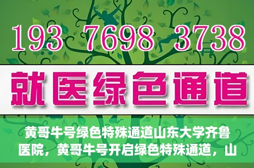 黄哥牛号绿色特殊通道山东大学齐鲁医院，黄哥牛号开启绿色特殊通道，山东大学齐鲁医院焕新篇章