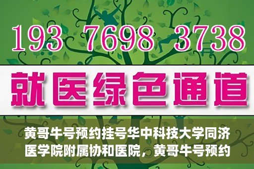 黄哥牛号预约挂号华中科技大学同济医学院附属协和医院，黄哥牛号预约挂号，华中科技大学同济医学院附属协和医院就医新体验