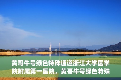 黄哥牛号绿色特殊通道浙江大学医学院附属第一医院，黄哥牛号绿色特殊通道，浙江大学医学院附属第一医院的探索与实践