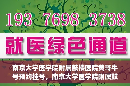 南京大学医学院附属鼓楼医院黄哥牛号预约挂号，南京大学医学院附属鼓楼医院黄哥牛号预约挂号攻略解析
