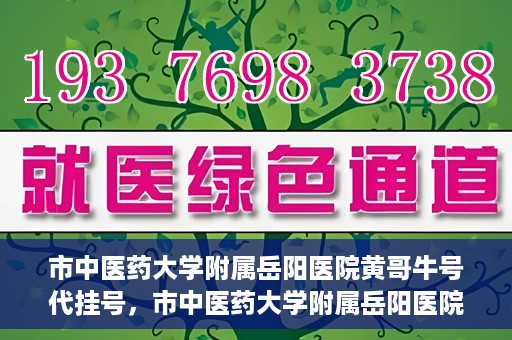 市中医药大学附属岳阳医院黄哥牛号代挂号，市中医药大学附属岳阳医院黄哥牛号代挂号服务解析
