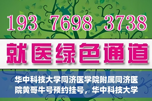 华中科技大学同济医学院附属同济医院黄哥牛号预约挂号，华中科技大学同济医院黄哥牛号预约挂号攻略