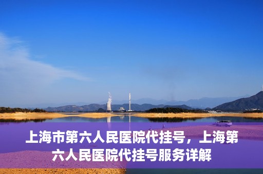 上海市第六人民医院代挂号，上海第六人民医院代挂号服务详解