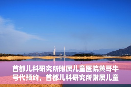 首都儿科研究所附属儿童医院黄哥牛号代预约，首都儿科研究所附属儿童医院黄哥预约服务详解