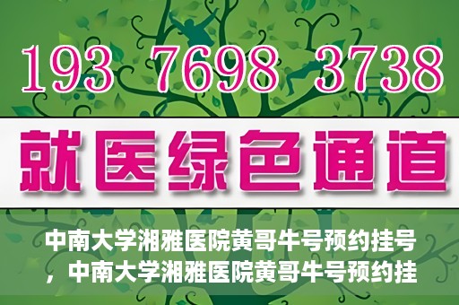 中南大学湘雅医院黄哥牛号预约挂号，中南大学湘雅医院黄哥牛号预约挂号攻略，轻松挂号，无忧就医体验