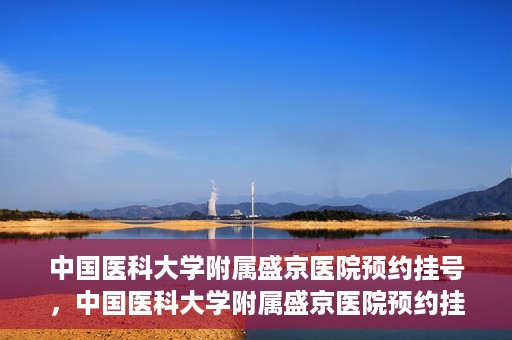 中国医科大学附属盛京医院预约挂号，中国医科大学附属盛京医院预约挂号指南，一站式解决您的挂号难题