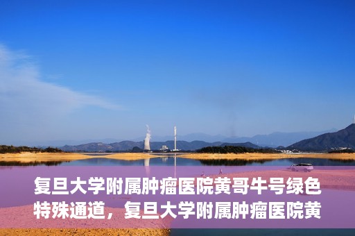 复旦大学附属肿瘤医院黄哥牛号绿色特殊通道，复旦大学附属肿瘤医院黄哥牛号，绿色特殊通道揭秘
