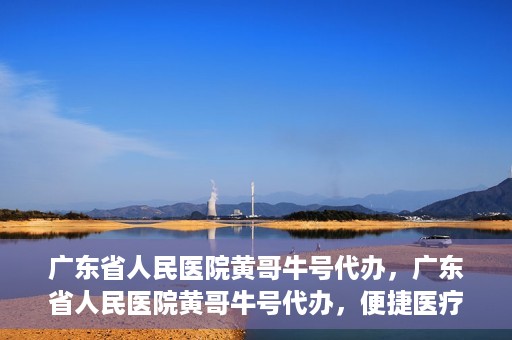 广东省人民医院黄哥牛号代办，广东省人民医院黄哥牛号代办，便捷医疗新途径