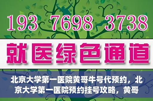 北京大学第一医院黄哥牛号代预约，北京大学第一医院预约挂号攻略，黄哥牛号预约详解