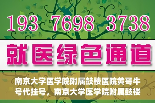 南京大学医学院附属鼓楼医院黄哥牛号代挂号，南京大学医学院附属鼓楼医院黄哥牛号代挂号解析，专业解读与预约攻略