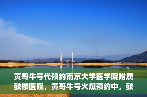 黄哥牛号代预约南京大学医学院附属鼓楼医院，黄哥牛号火爆预约中，鼓楼医院携手南京大学医学院开启健康新篇章