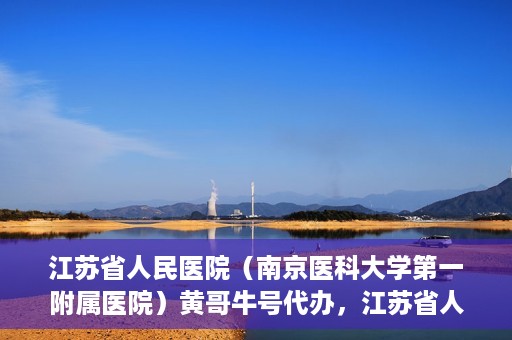 江苏省人民医院（南京医科大学第一附属医院）黄哥牛号代办，江苏省人民医院（南京医科大学第一附属医院）黄哥牛号业务代办攻略