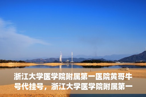 浙江大学医学院附属第一医院黄哥牛号代挂号，浙江大学医学院附属第一医院黄哥牛号代挂号服务解析